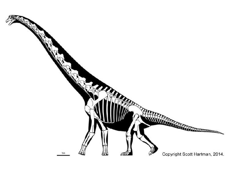 Cedarosaurus - Alchetron, The Free Social Encyclopedia