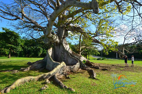 Ceiba, Puerto Rico Tourist places in Ceiba, Puerto Rico