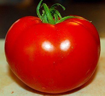 Celebrity tomato Amazoncom Celebrity Tomato 45 Seeds Disease Resistant