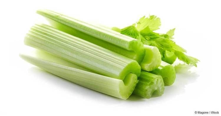 Celery What Is Celery Good For Mercolacom