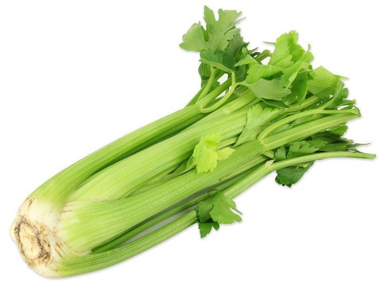 Celery Celery Organic Abel amp Cole