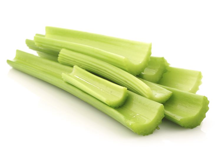 Celery Best of 2015 CELERY wwwmnftiucc