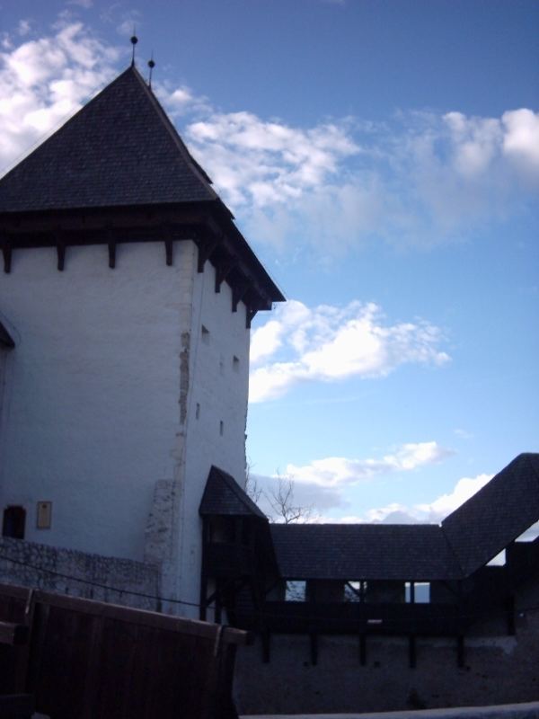 Celje Castle