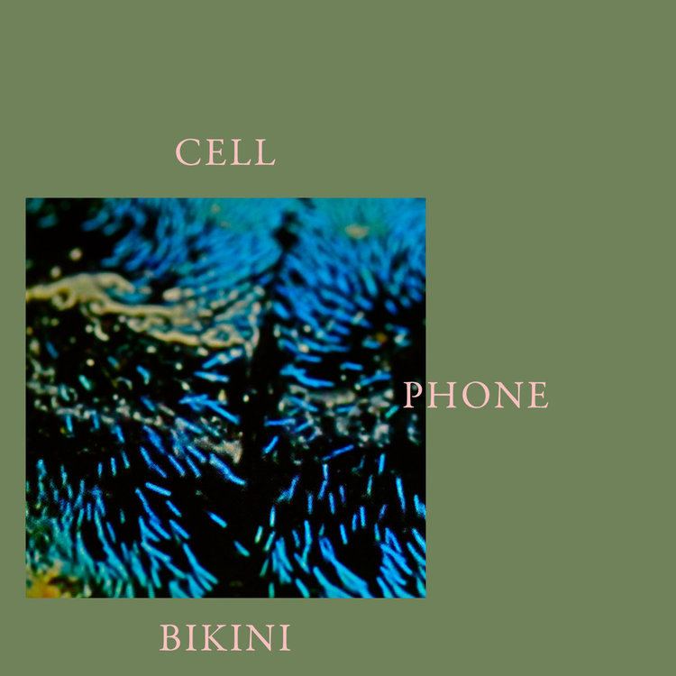 Cell Phone Bikini httpsf4bcbitscomimga289165928110jpg