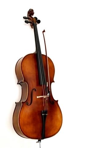 Cello Cello Rental and Sales Amro Music Memphis