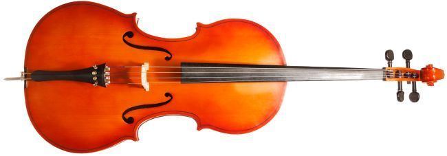 Cello Cello String Instrument Stradivariusorg