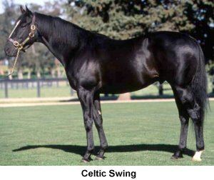Celtic Swing Virtual Form Guide View Stallion
