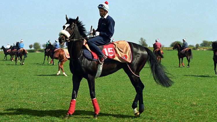 Celtic Swing Lady Herries trainer of Celtic Swing and Sheriff39s Star has died