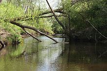Cena (river) httpsuploadwikimediaorgwikipediacommonsthu