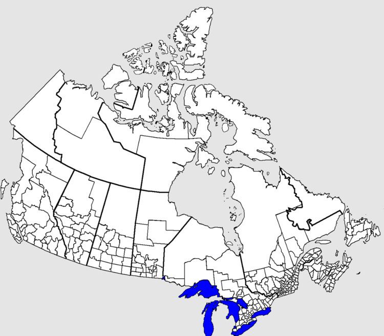 Census geographic units of Canada