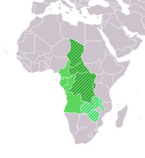 Central Africa httpsuploadwikimediaorgwikipediacommonsthu