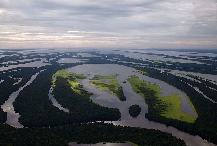 Central Amazon Ecological Corridor