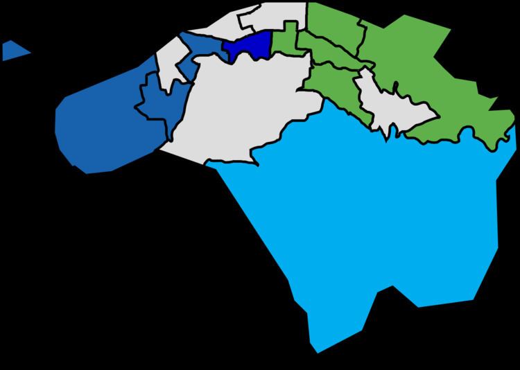 Central and Western District Council election, 1999