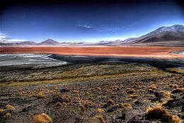 Central Andean dry puna httpsuploadwikimediaorgwikipediacommonsthu