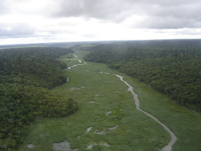 Central Atlantic Forest Ecological Corridor