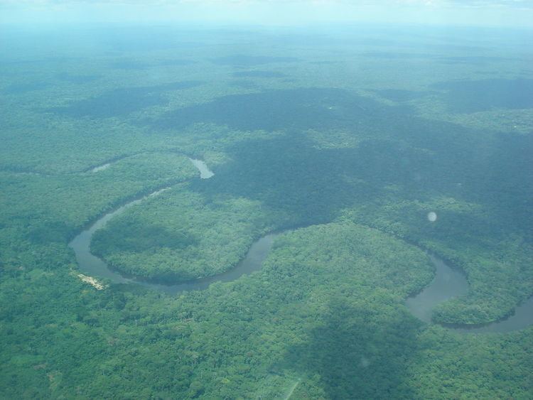 Central Congolian lowland forests