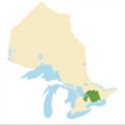 Central Ontario wwwsummerfunguidecaimagesuploadmapinsetcent