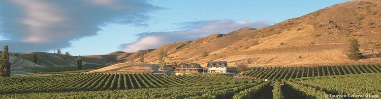 Central Otago wine region Otago Wine Region New Zealand Central Otago wineries vineyards