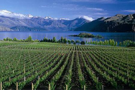 Central Otago wine region New Zealand Wine Tours Wine Tours New Zealand Wine Tours