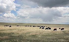 Central Plains Biosphere Reserve httpsuploadwikimediaorgwikipediacommonsthu