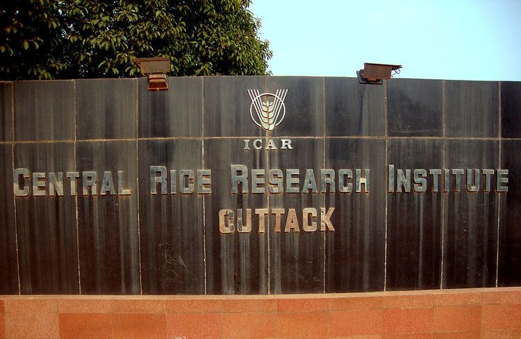 Central Rice Research Institute