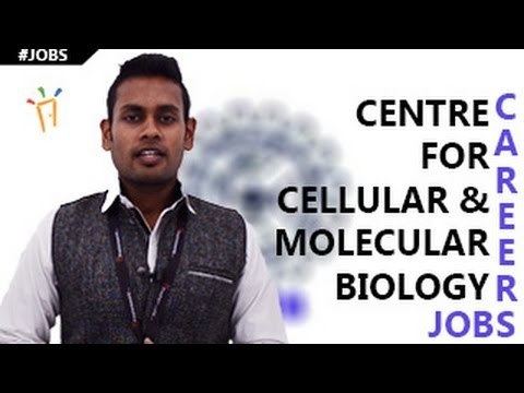 Centre for Cellular and Molecular Biology CCMBCentre for Cellular and Molecular Biology Recruitment