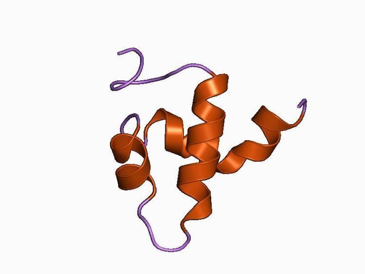 Centromere protein B