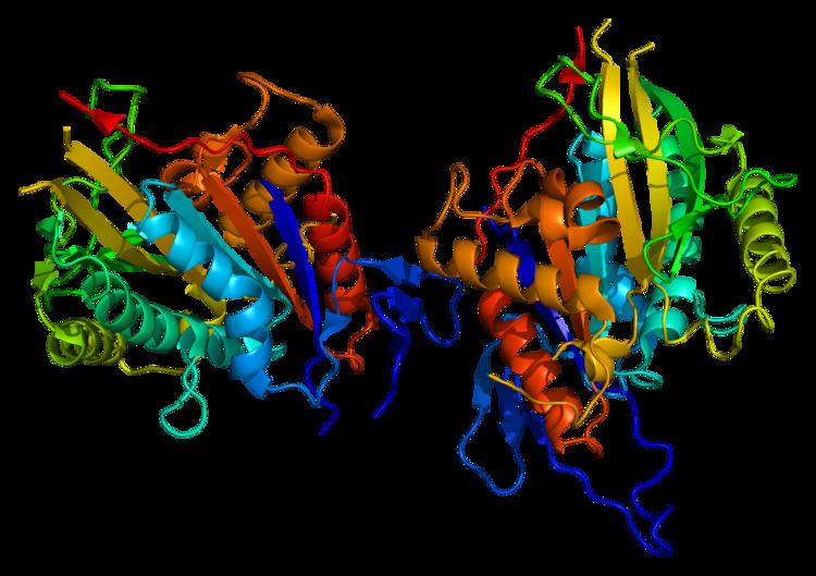 Centromere protein E