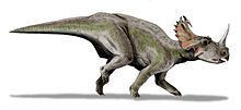 Centrosaurus httpsuploadwikimediaorgwikipediacommonsthu