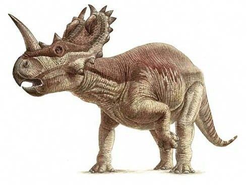 Centrosaurus Centrosaurus Paleontology Pinterest News Muscle and Dinosaurs