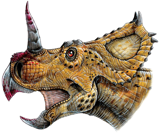 Centrosaurus Really Weird DinosaursCentrosaurus apertus