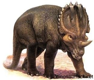 Centrosaurus Centrosaurus dinosaur
