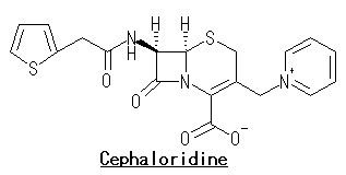 Cephaloridine CephaloridinePNG Wikipedia