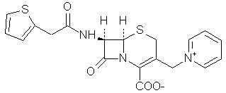 Cephaloridine Chemical Substance Cephaloridine