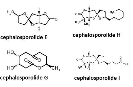 Cephalosporolide