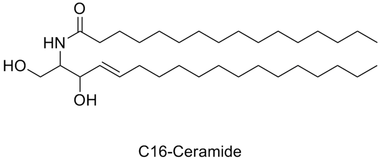 Ceramide Ceramides what the eff are they and why are they in my cream