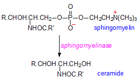 Ceramide Ceramides AOCS Lipid Library