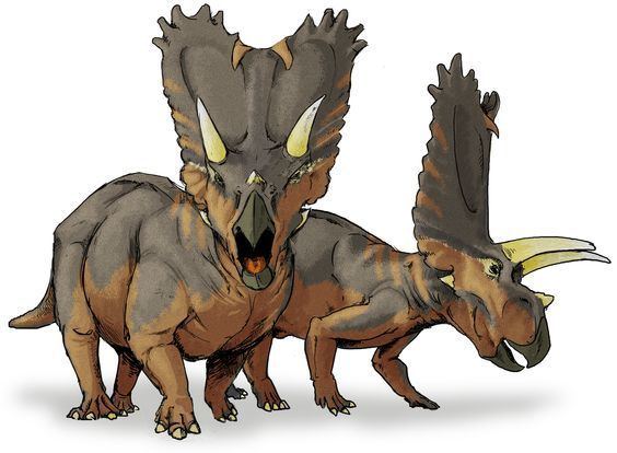Ceratopsidae Pentaceratops sternbergi OMNH 10165 Titanoceratops ouranos