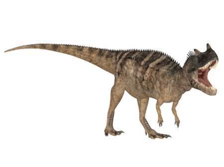 Ceratosaurus Ceratosaurus Facts for Kids