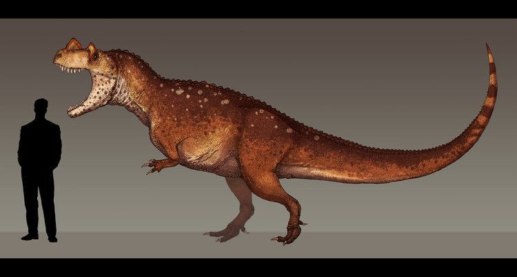 Ceratosaurus Ceratosaurus dentisulcatus by Paleocolour on DeviantArt
