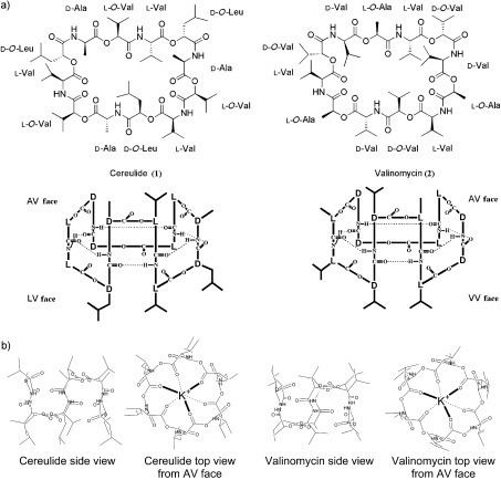 Cereulide 2D and 3D structure of cereulide 1 and valinomycin 2 Figure 1