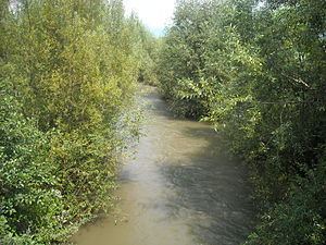 Cerna River (Mureș) httpsuploadwikimediaorgwikipediacommonsthu