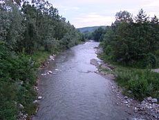 Cerna River (Olteț) httpsuploadwikimediaorgwikipediacommonsthu