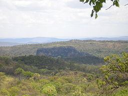 Cerrado Cerrado Wikipedia