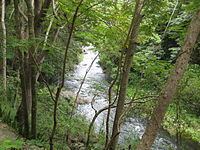 Cerrillos River httpsuploadwikimediaorgwikipediacommonsthu