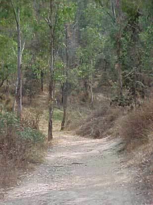 Cerro de la Estrella National Park