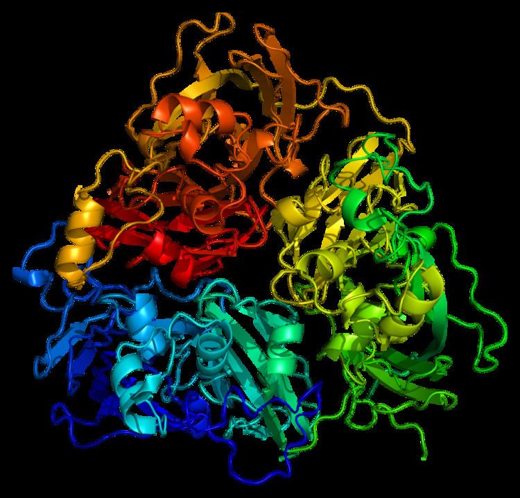 Ceruloplasmin