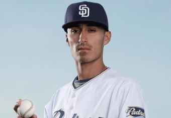 Cesar Carrillo Tigers minor leaguer Cesar Carrillo suspended 100 games