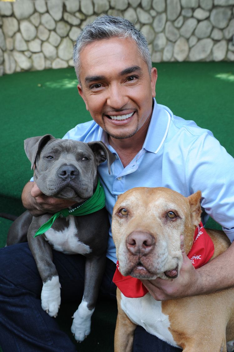 Cesar Millan Alchetron, The Free Social Encyclopedia