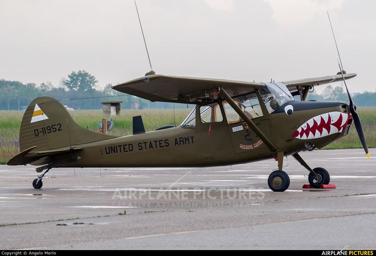 Cessna O-1 Bird Dog Cessna L19O1 Bird Dog Photos AirplanePicturesnet